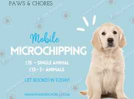 Animal microchipping