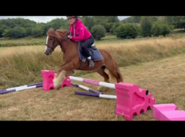 *** MOTHERS DREAM PONY ***