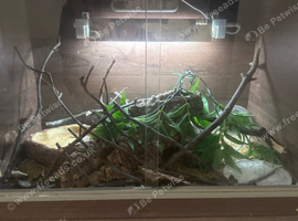 vivarium
