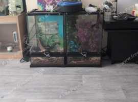 Two reptilateriums