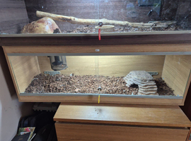 48ins vivarium