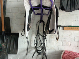 Job lot horse tack
