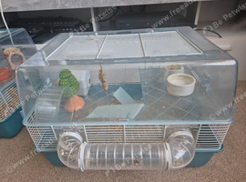 Hamster