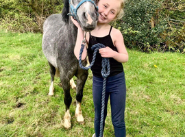 Super sweet mare