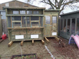 Pigeons lofts