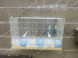 Used cages for sale
