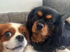 2 boys ready to leave ️