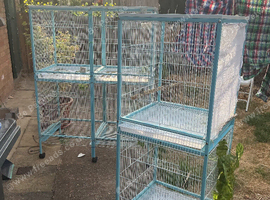 Canary cages
