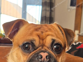 Male 3 year old chug