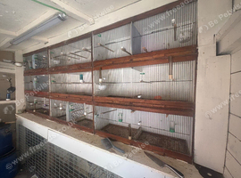 Double bird cages