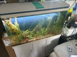 Fish tanks for sale