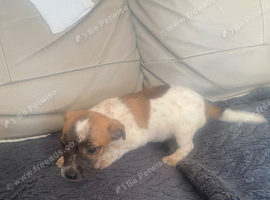 Jackrussle ready to leave