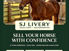 Sales Livery