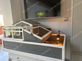Horsfield with table and everything you need