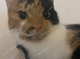 Beautiful and Loving Girl