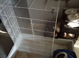 Rabbit cage xlarge