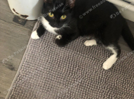 Black and female needs a home asap