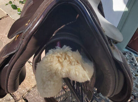 Show saddle 18" mw