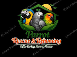 Rehoming and rescue