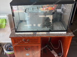100L fish tank