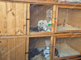Stack 3 hutches