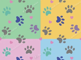 Wanted female german shepard