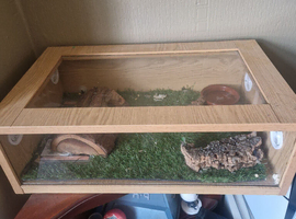 Reptile  vivarium