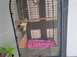 Large parrot cage