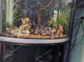 Tropical tank and livestock