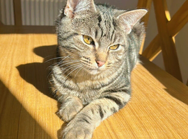 MISSING SINCE JANUARY 3rd EXETER DEVON