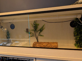 4 foot vivarium white