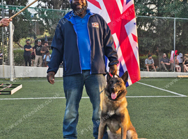 Champion dog trainer-Norfolk and surrounding area