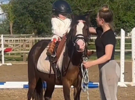 12h lr pony