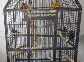 Bird cage,  for budgies / ringneck