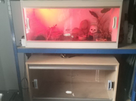 Vivarium display housing rack