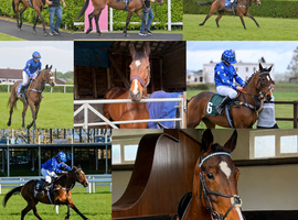 148 racing pony