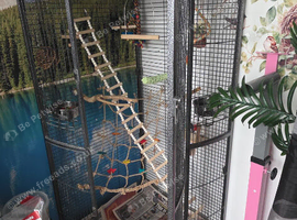 Cage