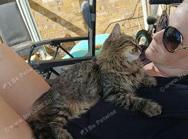 New home needed for lilly
