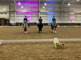 Schooling or competition livery