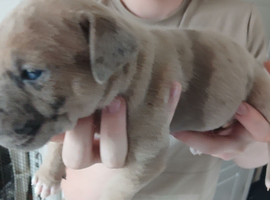 Looking for forever home
