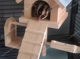 3 bonded male gliders