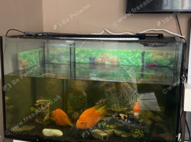 Full aquarium set for sale