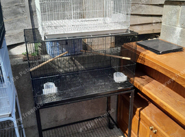 Bird cages