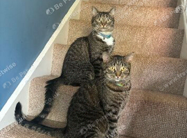 Two beautiful male brothers&hellip;.