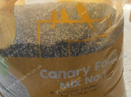 Canaries food