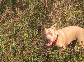 Rehome
