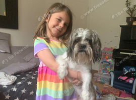 Dog for Rehome