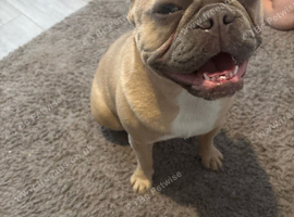 Beautiful 10month old girl