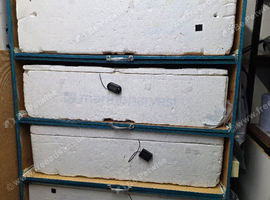 Reptile Incubator