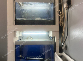Small aquarium breeding set up